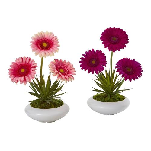 12" Gerber Daisy and Succulent Artificial Arrangement in White Vase (Set of 2)