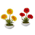 12" Gerber Daisy and Succulent Artificial Arrangement in White Vase (Set of 2)