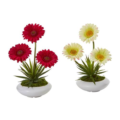 12" Gerber Daisy and Succulent Artificial Arrangement in White Vase (Set of 2)