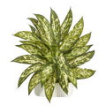 13" Aglonema Artificial Plant in White Planter