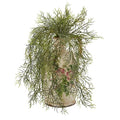 13" Tillandsia Moss Artificial Plant in Floral Pitcher