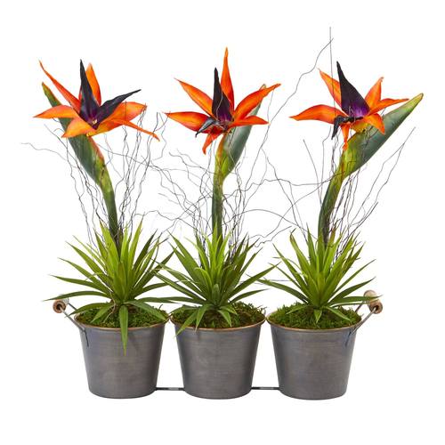 14" Bird of Paradise and Succulent Artificial Arrangement in Trio Metal Planter