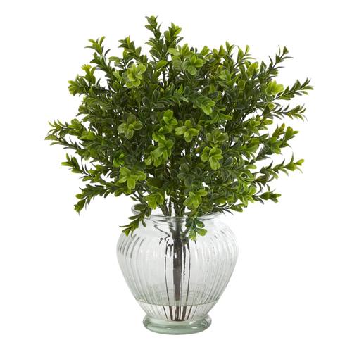 14" Boxwood Artificial Plant in Glass Planter (Indoor/Outdoor)