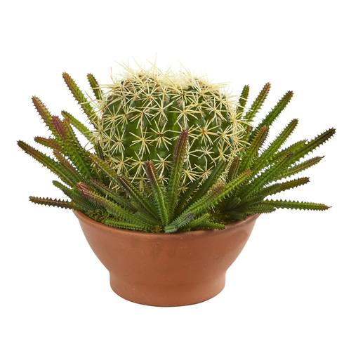 14" Cactus Artificial Plant in Terra-Cotta Planter