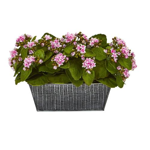 14" Kalanchoe Artificial Plant in Black Embossed Planter