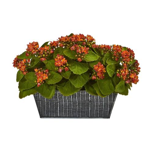14" Kalanchoe Artificial Plant in Black Embossed Planter