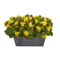 14" Kalanchoe Artificial Plant in Black Embossed Planter