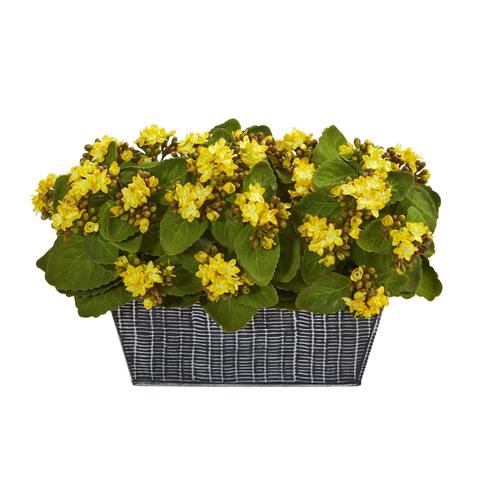 14" Kalanchoe Artificial Plant in Black Embossed Planter