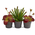 14" Mix Succulent Artificial Plant in Trio Metal Planter