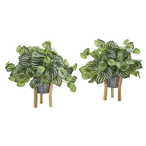 14" Watermelon Peperomia Artificial Plant in Tin Planter with Legs (Real Touch) (Set of 2)