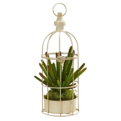15" Cactus Succulent Artificial Plant in Decorative Cage