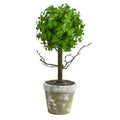 15" Eucalyptus Topiary Artificial Tree