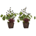15" Succulent, Clover and Coffee Leaf Artificial Plant in Decorative Planter (Set of 2)