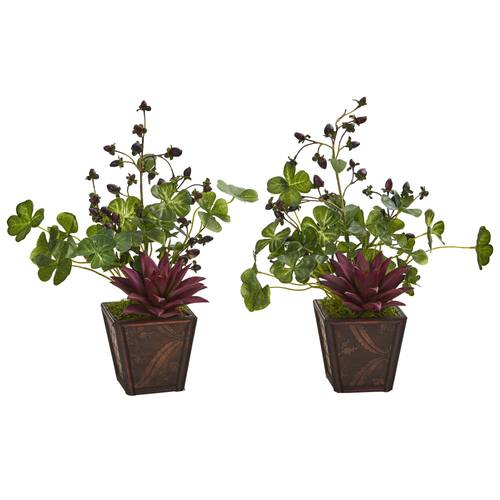 15" Succulent, Clover and Coffee Leaf Artificial Plant in Decorative Planter (Set of 2)