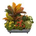 16" Croton, Kalanchoe and Cactus Artificial Plant in in Metal Tray