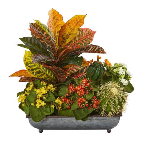 16" Croton, Kalanchoe and Cactus Artificial Plant in in Metal Tray