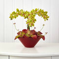 16" Phalaenopsis Orchid and Succulent Artificial Arrangement in Vase