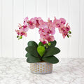 17" Phalaenopsis Orchid Artificial Arrangement in Bowl with Gold Trimming