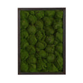 17" X 24" Artificial Moss Hanging Frame