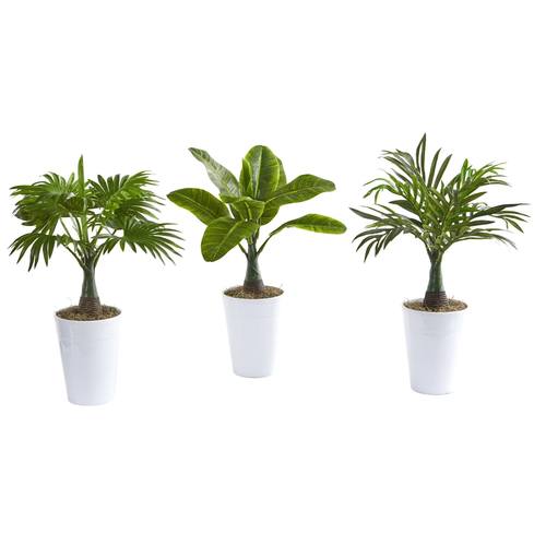 18" Assorted Mini Palm and Banana Artificial Plant in White Planter (Set of 3)