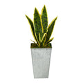 18" Sansevieria Artificial Plant in Embossed White Planter