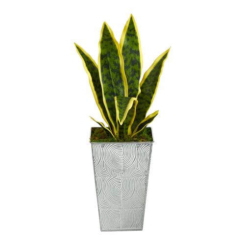 18" Sansevieria Artificial Plant in Embossed White Planter