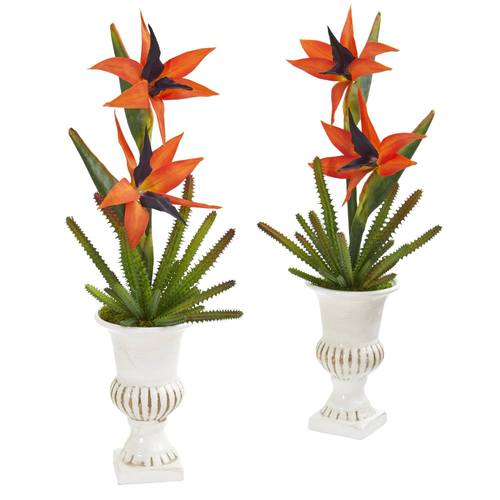 19" Bird of Paradise and Cactus Artificial Arrangement in White Urn (Set of 2)