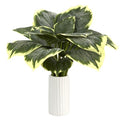 19" Variegated Hosta Artificial Plant in White Planter