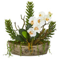 20" Orchid Phalaenopsis and Mix Succulent Artificial Arrangement