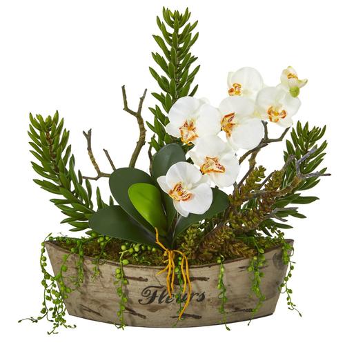20" Orchid Phalaenopsis and Mix Succulent Artificial Arrangement