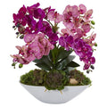 20" Phalaenopsis Orchid and Succulent Artificial Arrangement in White Vase