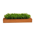 20" Sweet Grass Artificial Plant in Decorative Planter