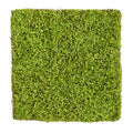 20" X 20" Duckweed Artificial Wall Mat