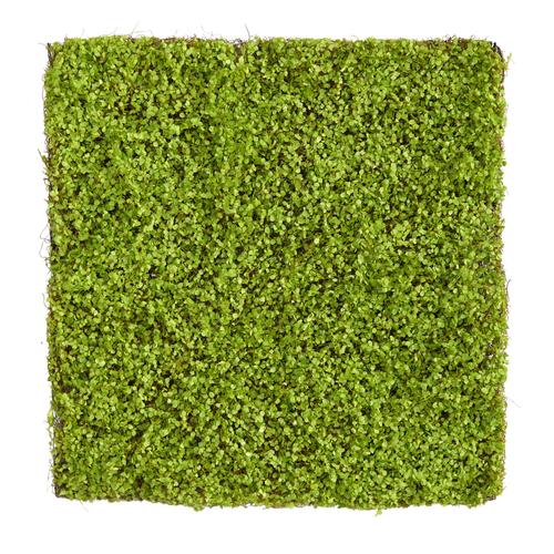20" X 20" Duckweed Artificial Wall Mat