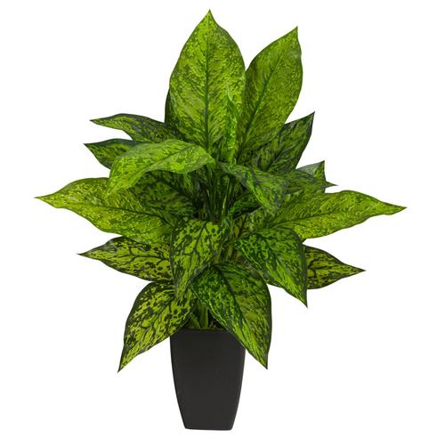 21" Dieffenbachia Artificial Plant in Black Planter