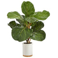 21" Fiddle Leaf Artificial Tree in White Ceramic Planter