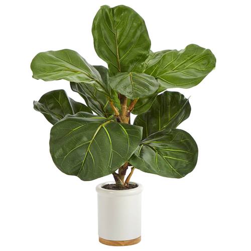 21" Fiddle Leaf Artificial Tree in White Ceramic Planter