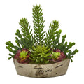 22" Echeveria and Cactus Succulent Artificial Plant in Decorative Planter