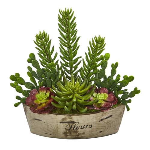 22" Echeveria and Cactus Succulent Artificial Plant in Decorative Planter