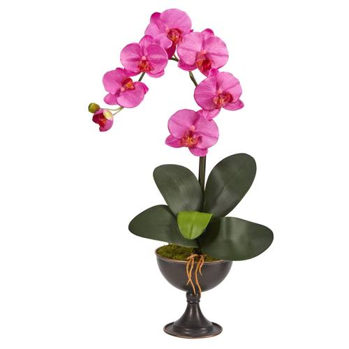 22" Phalaenopsis Orchid Artificial Arrangement in Metal Chalice