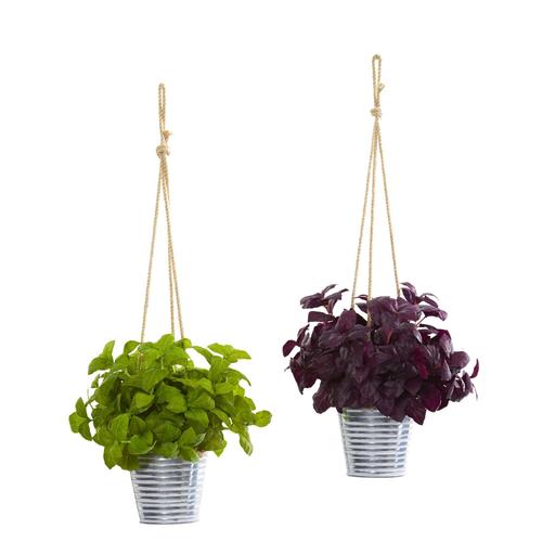 23" Basil Artificial Plant in Hanging Bucket (Set of 2)