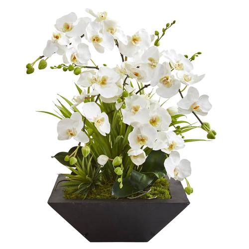 23" Phalaenopsis Orchid and Succulent Artificial Arrangement in Vase