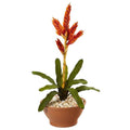 23" Tropical Bromeliad Artificial Plant in Terracotta Planter