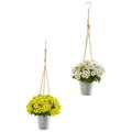 24" Daisy Artificial Arrangement in Hanging Bucket (Set of 2)