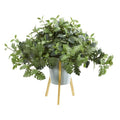 24" Dusty Miller Artificial Plant in Green Planter with Legs