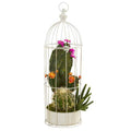 24" Mixed Cactus Succulent Artificial Plant in Decorative Cage