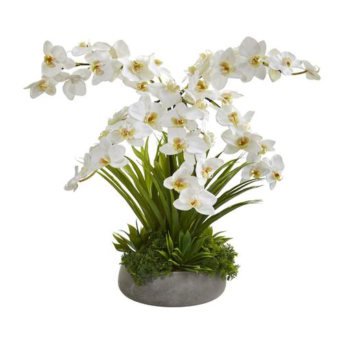 24" Phalaenopsis Orchid and Agave Artificial Arrangement in Gray Vase