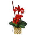24" Phalaenopsis Orchid Artificial Arrangement in Gold Vase