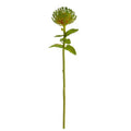 24" Pincushion Artificial Flower (Set of 6)