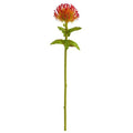 24" Pincushion Artificial Flower (Set of 6)